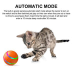 Interactive Dog Ball Toy