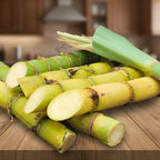 Sugarcane Collection – Purple Cane & Yellow Cane Varieties for Home Growing