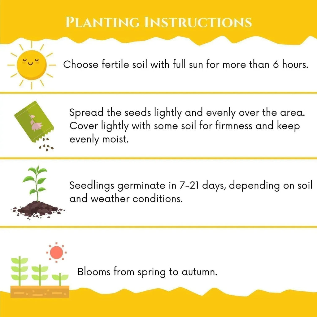 Sweet Plum Growing Kit