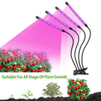 iMounTEK 80W 80 LEDs Plant Lights