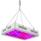 iMountek LED Plant Grow Lights 1000W