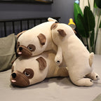 Plush Pillows for Snug Comfort