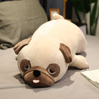 Plush Pillows for Snug Comfort