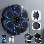Interactive Boxing Machine PunchTech