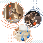 Interactive Dog Toy Durable Ball Engaging Playtime Fun