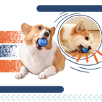 Interactive Dog Toy Durable Ball Engaging Playtime Fun