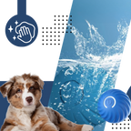Interactive Dog Toy Durable Ball Engaging Playtime Fun