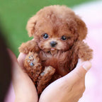 Interactive Dog Toy Robotic Puppy Lifelike Companion