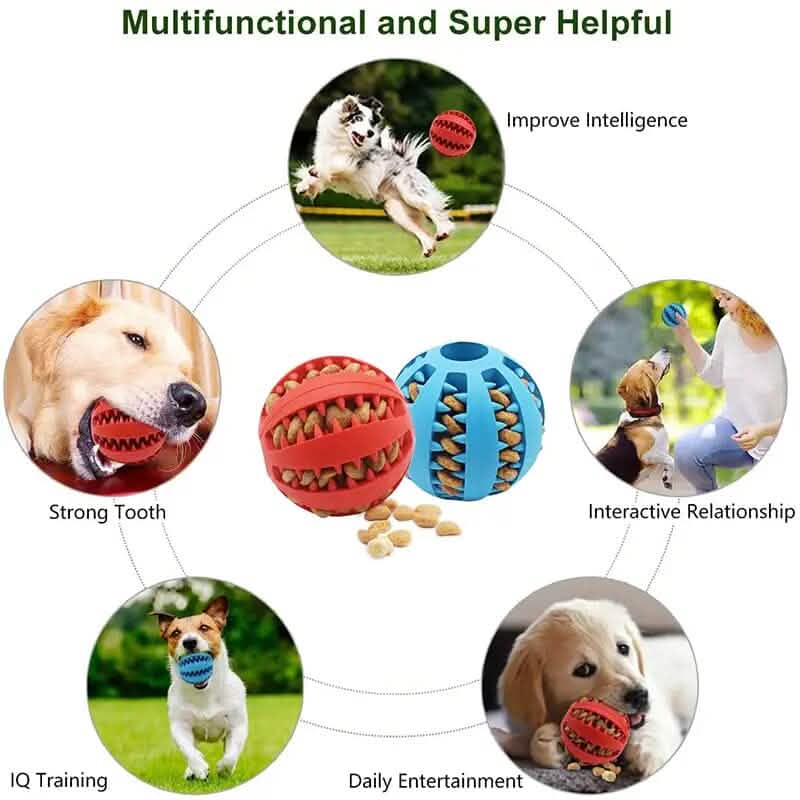 Interactive Elastic Puppy Chew Toy