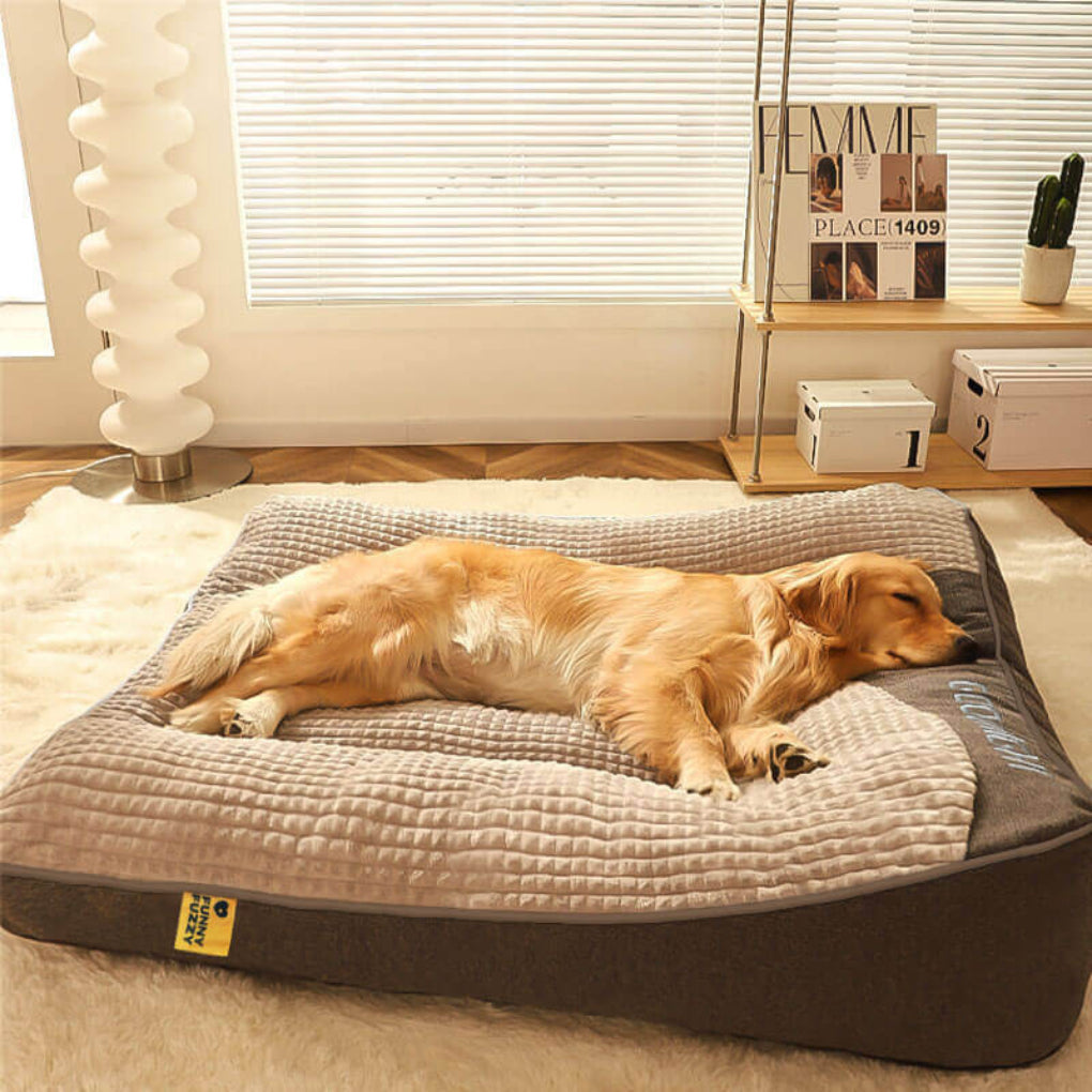 Large Dog Bed – Thick, Scratch-Resistant Cushion with Spine Support