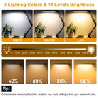LED Reading Desk Lamp with Clamp Adjustable Swing Arm