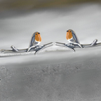 LuckFeather | Handmade Tinted Glass Earrings for Spring