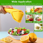 Manual Lemon Squeezer Fold Flat Design