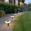 Solar-Powered Garden Ground Lights