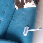 Niki | 3-in-1 Pet Hair Remover - Petclean Pro