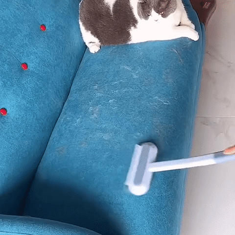 Niki | 3-in-1 Pet Hair Remover - Petclean Pro