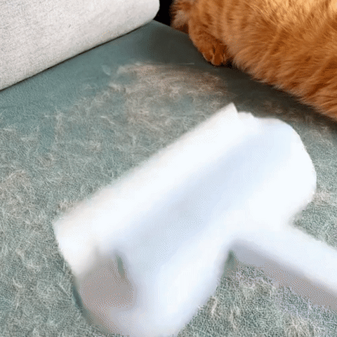 Niki | 3-in-1 Pet Hair Remover - Petclean Pro