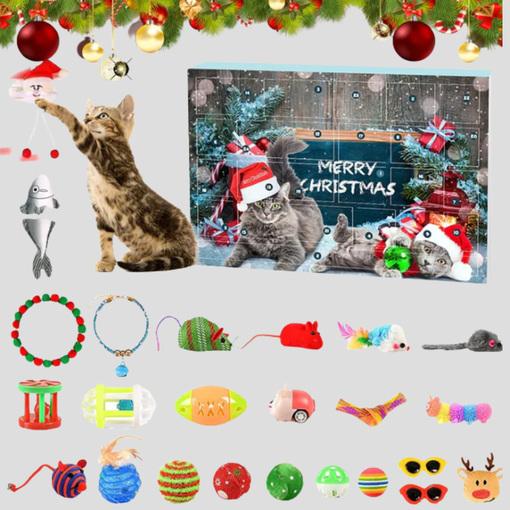 Niki | Advent Calendar for Cats 24 Days of Interactive Toys