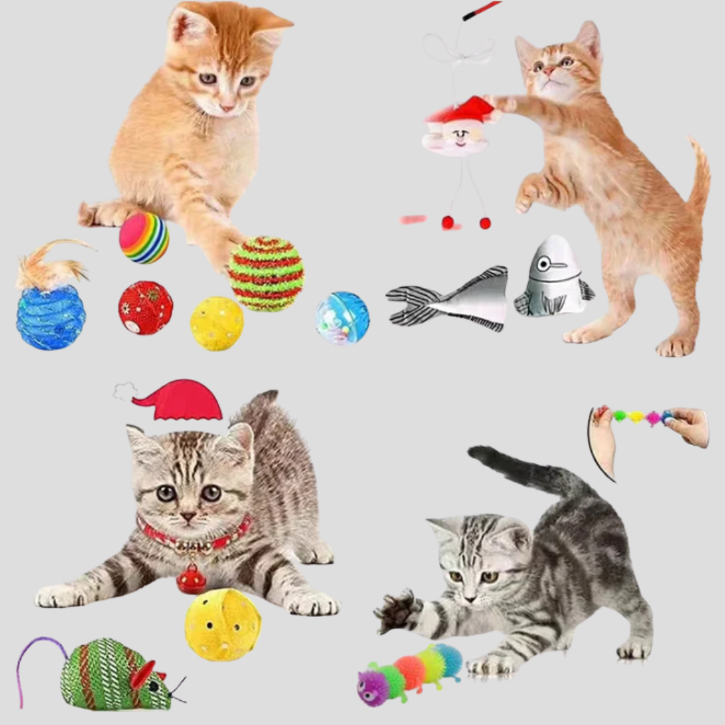 Niki | Advent Calendar for Cats 24 Days of Interactive Toys