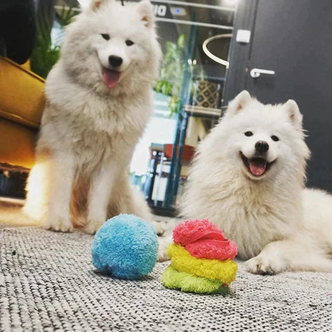 Niki | Interactive Dog Rolling Ball for Fun & Exercise