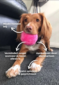Niki | Interactive Dog Rolling Ball for Fun & Exercise
