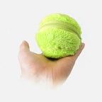Niki | Interactive Dog Rolling Ball for Fun & Exercise