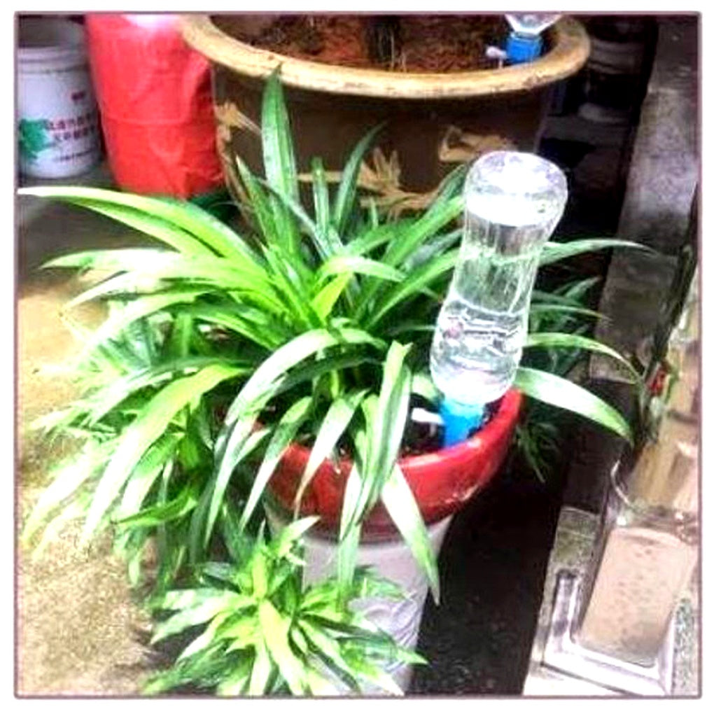 Niki | Self-Watering Plant Spikes - Adjustable Flow