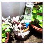 Niki | Self-Watering Plant Spikes - Adjustable Flow