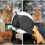 Niki | CalmEars | Noise-Reducing Ear Protectors for Dogs – Comfortable Hearing Protection