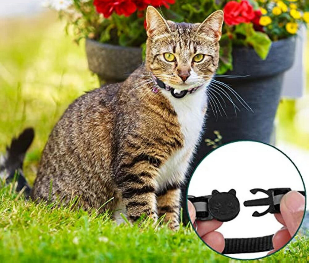 Niki | Cat GPS Tracking Collar | Quick Release Lock, Reflective Design & Durable for Outdoor Safety Adventures