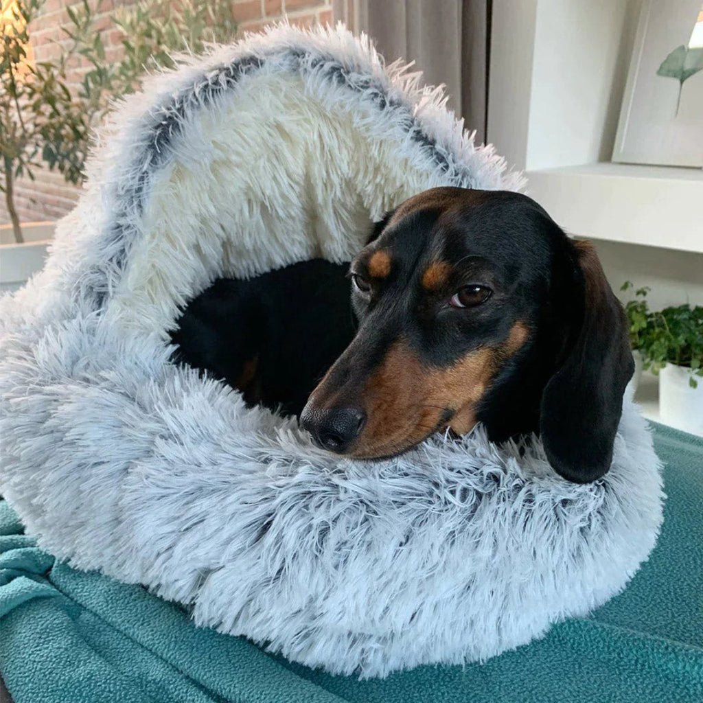 Niki | Cozy Cave Pet Bed | Calming and Comfortable Dog Bed for Deep Relaxation