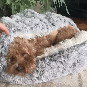 Niki | Cozy Cave Pet Bed | Calming and Comfortable Dog Bed for Deep Relaxation
