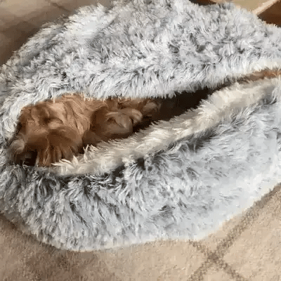 Niki | Cozy Cave Pet Bed | Calming and Comfortable Dog Bed for Deep Relaxation