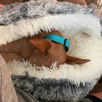 Niki | Cozy Cave Pet Bed | Calming and Comfortable Dog Bed for Deep Relaxation