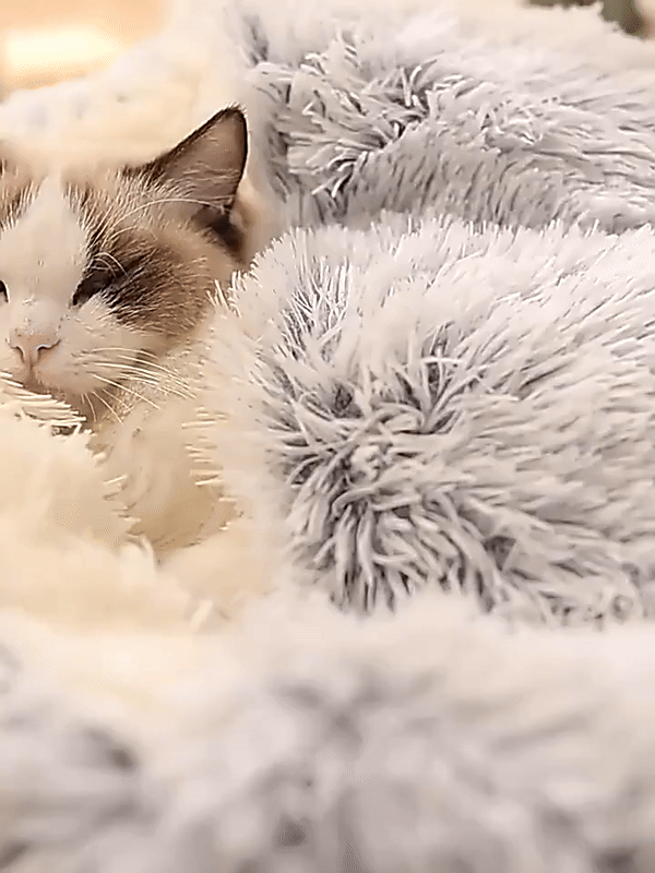 Niki | Cozy Cave Pet Bed | Calming and Comfortable Dog Bed for Deep Relaxation