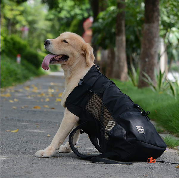 Niki | Dog Backpack Carrier