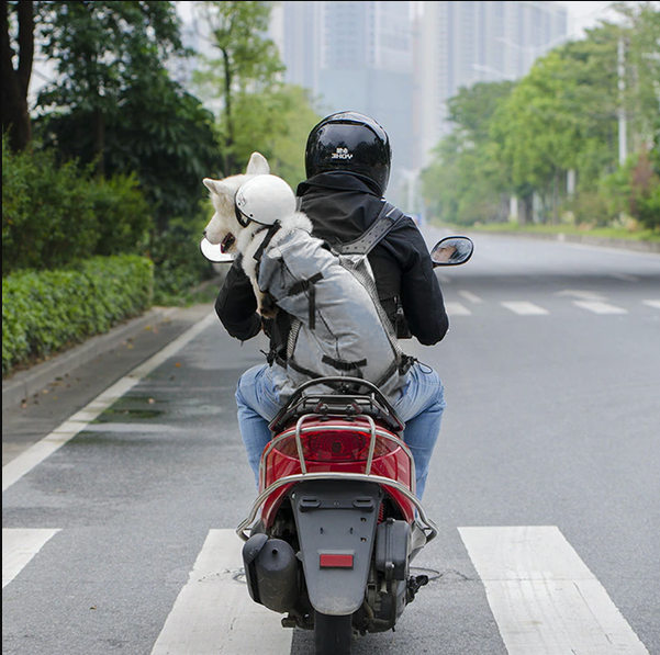 Niki | Dog Backpack Carrier