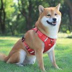 Niki | Dog Harness with Reflective Straps for Safety