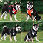 Niki | Dog Harness with Reflective Straps for Safety