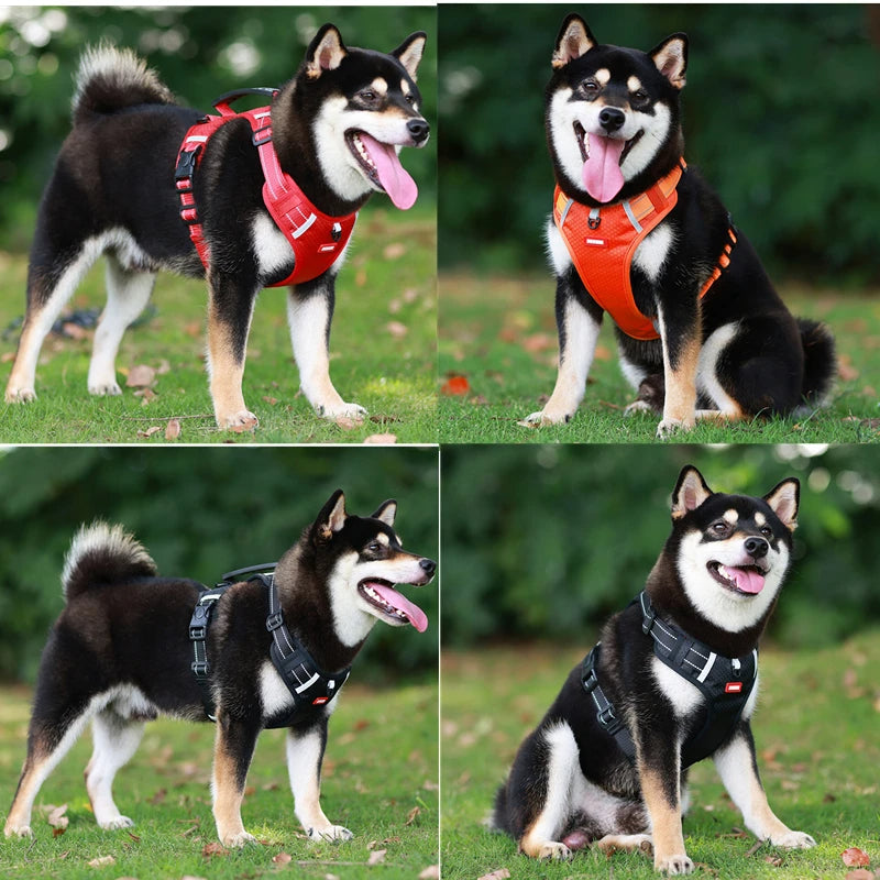 Niki | Dog Harness with Reflective Straps for Safety