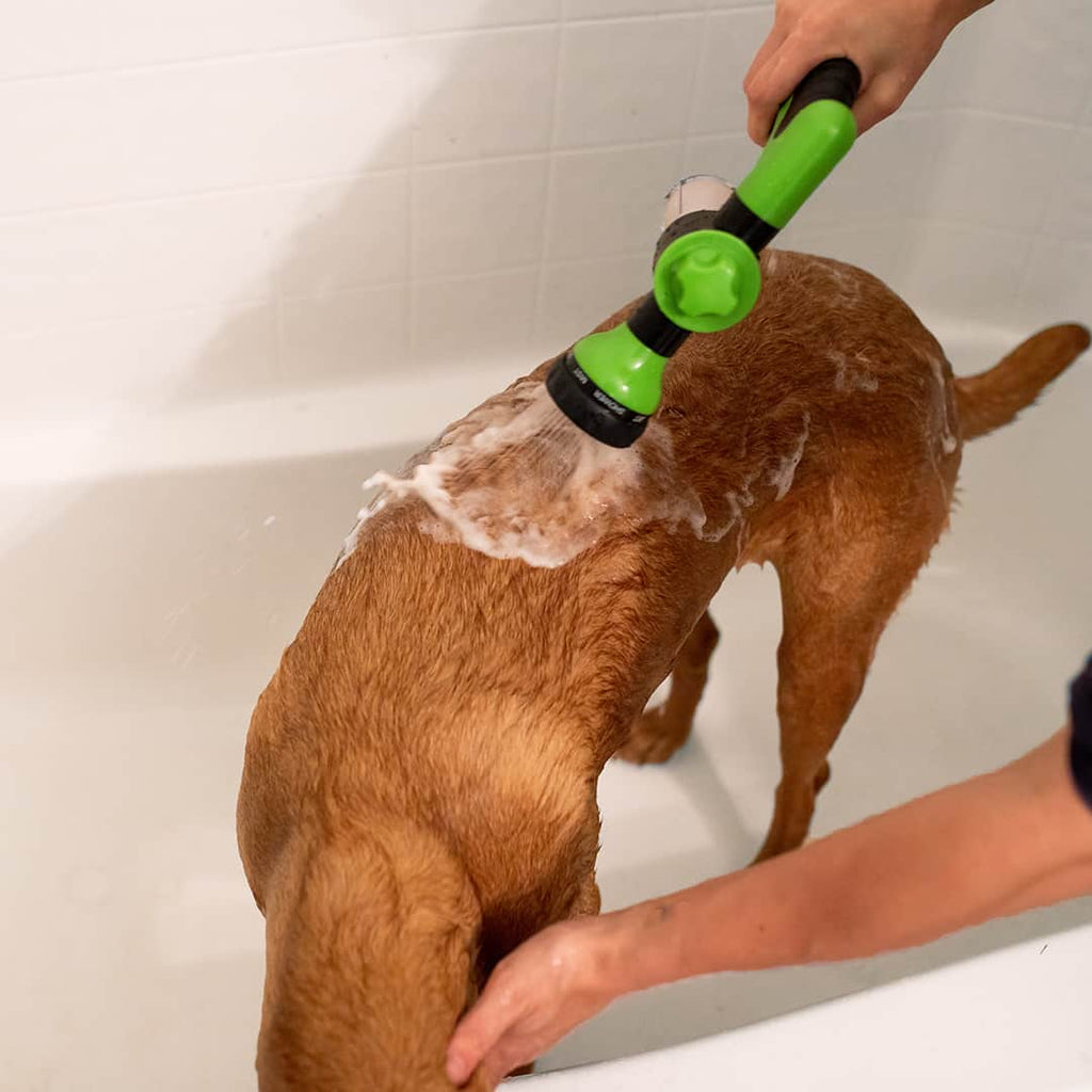 Niki | Dog Shower Sprayer - WashBuddy
