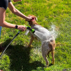 Niki | Dog Shower Sprayer - WashBuddy