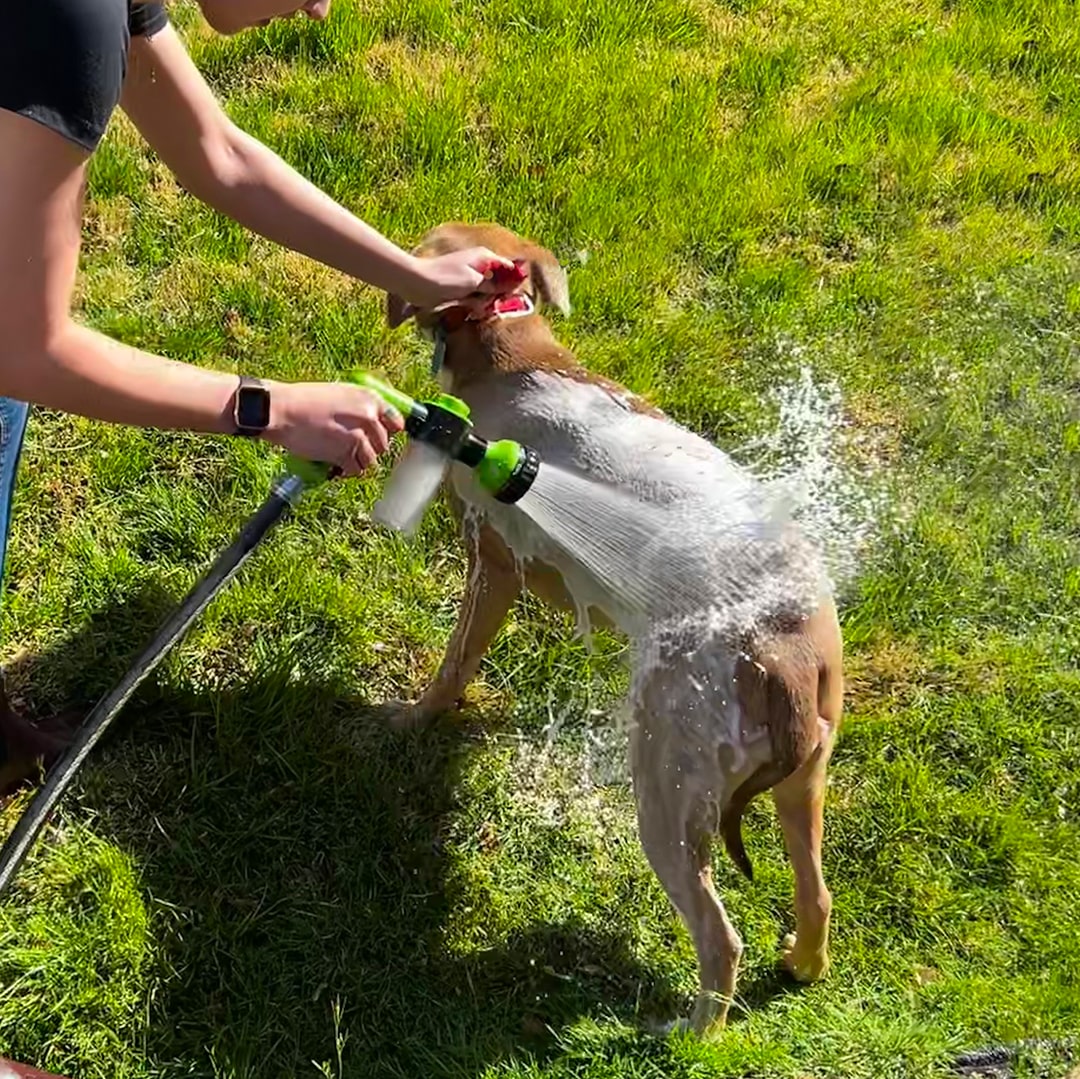 Niki | Dog Shower Sprayer - WashBuddy