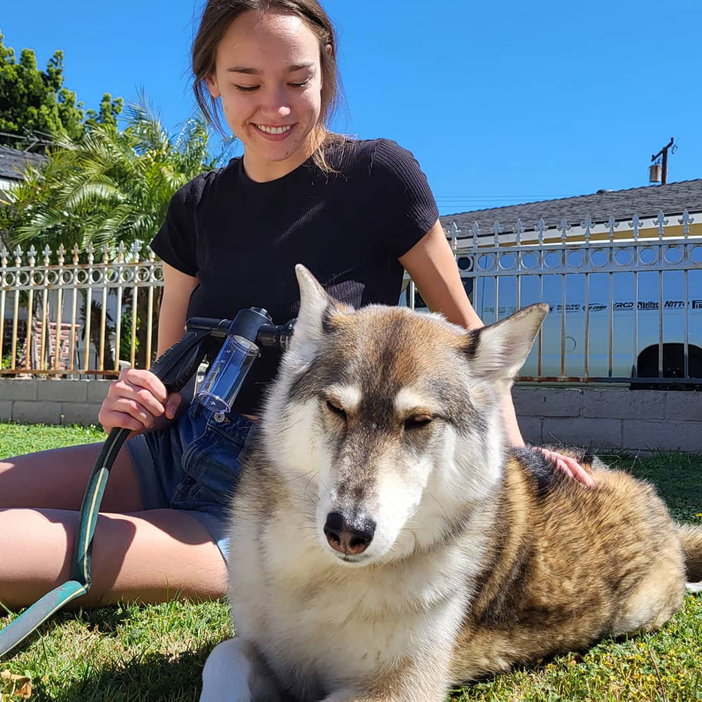 Niki | Dog Shower Sprayer - WashBuddy