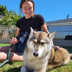 Niki | Dog Shower Sprayer - WashBuddy