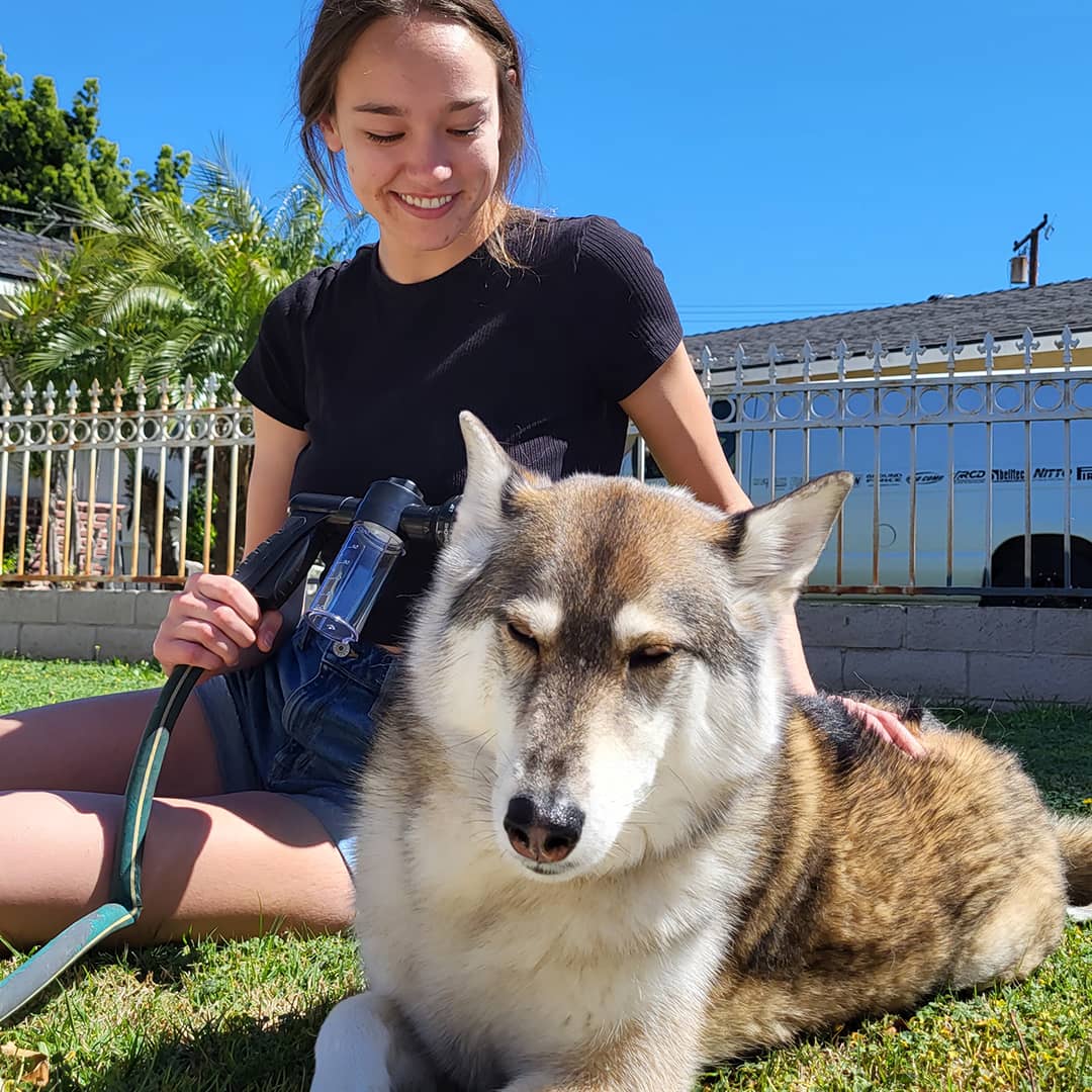 Niki | Dog Shower Sprayer - WashBuddy