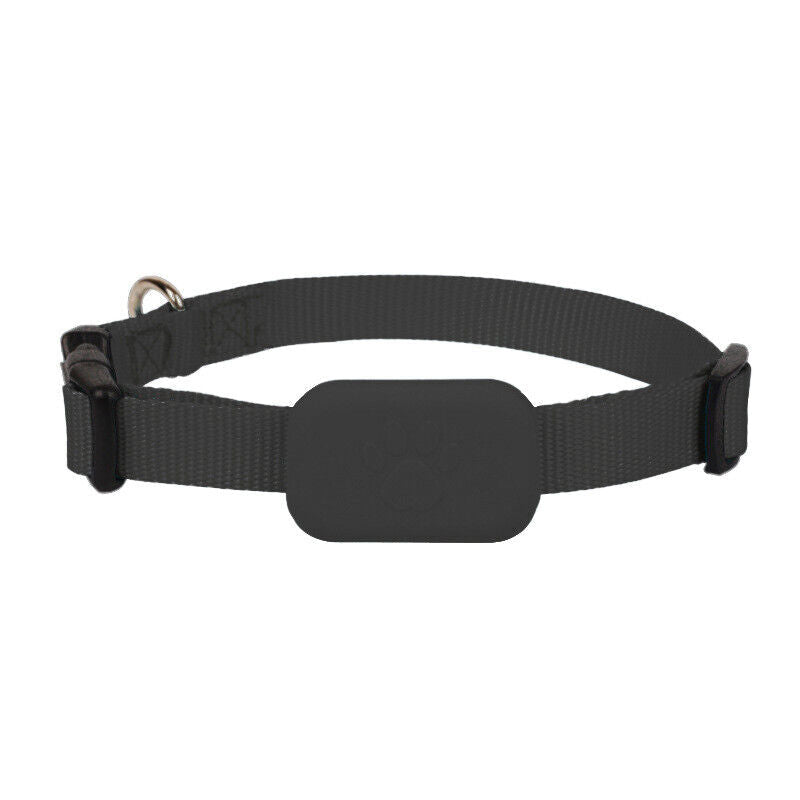 Niki | Dogs & Cats GPS Tracker Collar Real-Time Location