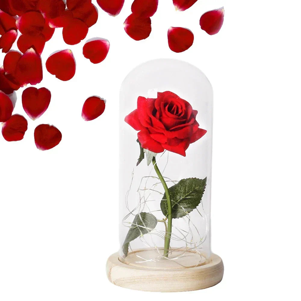 Niki – Eternal Rose in Glass Dome with Atmospheric LED Lighting