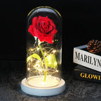 Niki – Eternal Rose in Glass Dome with Atmospheric LED Lighting