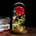 Niki – Eternal Rose in Glass Dome with Atmospheric LED Lighting